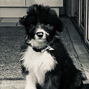 Meet your Posher, Kk